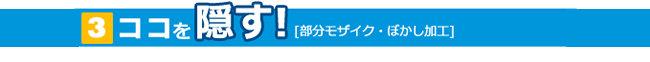 [3]ココを隠す！[部分モザイク・ぼかし加工]