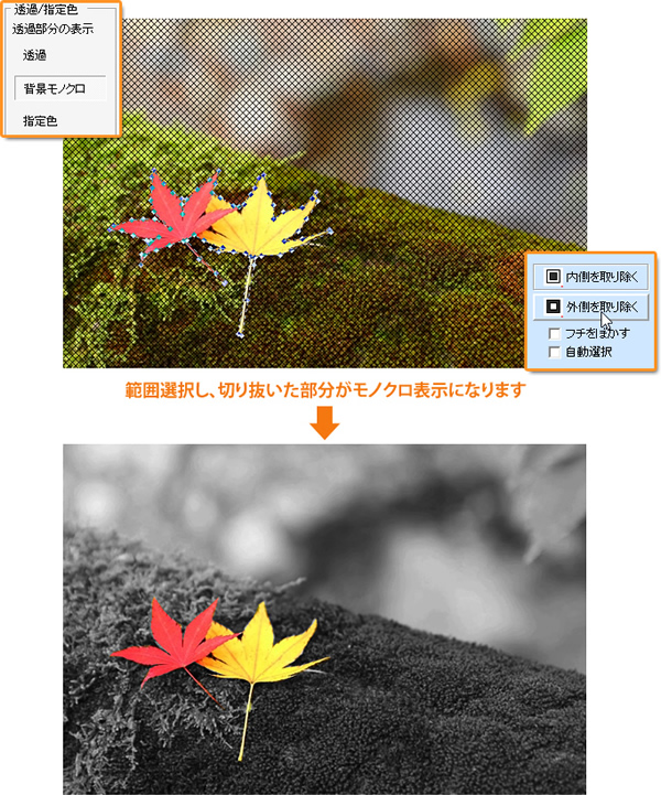 範囲選択し、切り抜いた部分がモノクロ表示になります。